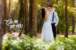 Album chụp ảnh cưới đẹp Đại Lải-Nắng yêu thương 1