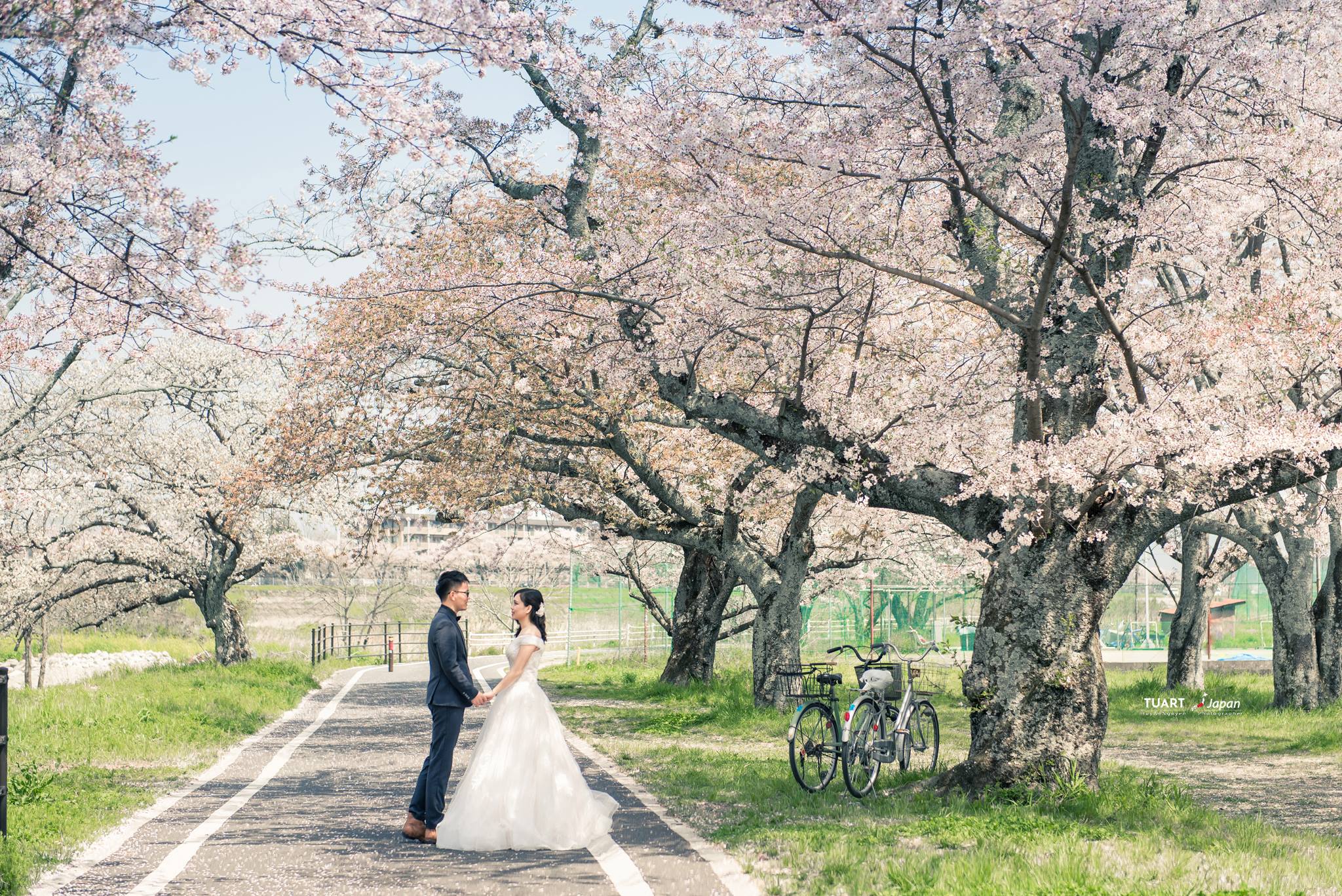 Album chụp ảnh cưới đẹp tại Nhật Bản: Huy An-Lan Anh 11