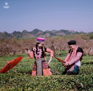 Album chụp ảnh cưới đẹp tại Mộc Châu: Đức-Lan 11