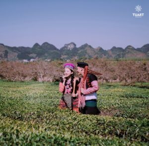 Album chụp ảnh cưới đẹp tại Mộc Châu: Đức-Lan 12