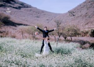 Album chụp ảnh cưới đẹp tại Mộc Châu: Đức-Lan 14