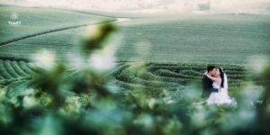 Album chụp ảnh cưới đẹp tại Mộc Châu: Đức-Lan 17