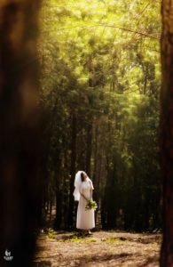 Album chụp ảnh cưới đẹp Đại Lải-Nắng yêu thương 21