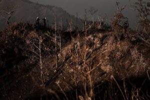 Album chụp ảnh cưới Concept: Sắc Đen Huyền Bí 56