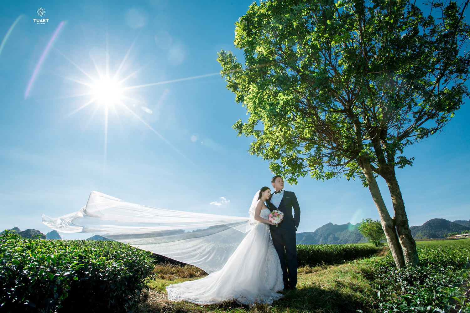 Album chụp ảnh cưới đẹp tại Mộc Châu: Đức-Lan 3