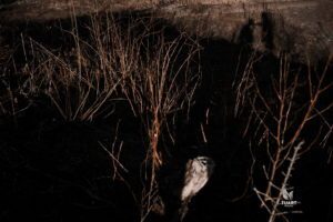 Album chụp ảnh cưới Concept: Sắc Đen Huyền Bí 65