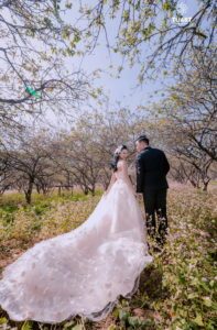 Album chụp ảnh cưới đẹp tại Mộc Châu: Đức-Lan 7