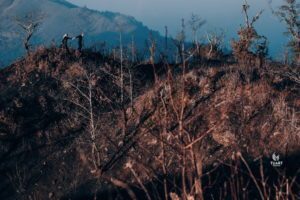 Album chụp ảnh cưới Concept: Sắc Đen Huyền Bí 70