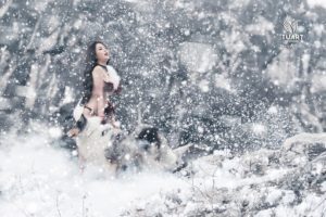 Album chụp ảnh nghệ thuật Concept : Tuyết Sơn Phi Hồ 5