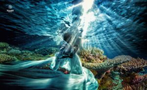 Album chụp ảnh cưới đẹp Concept dưới nước 16