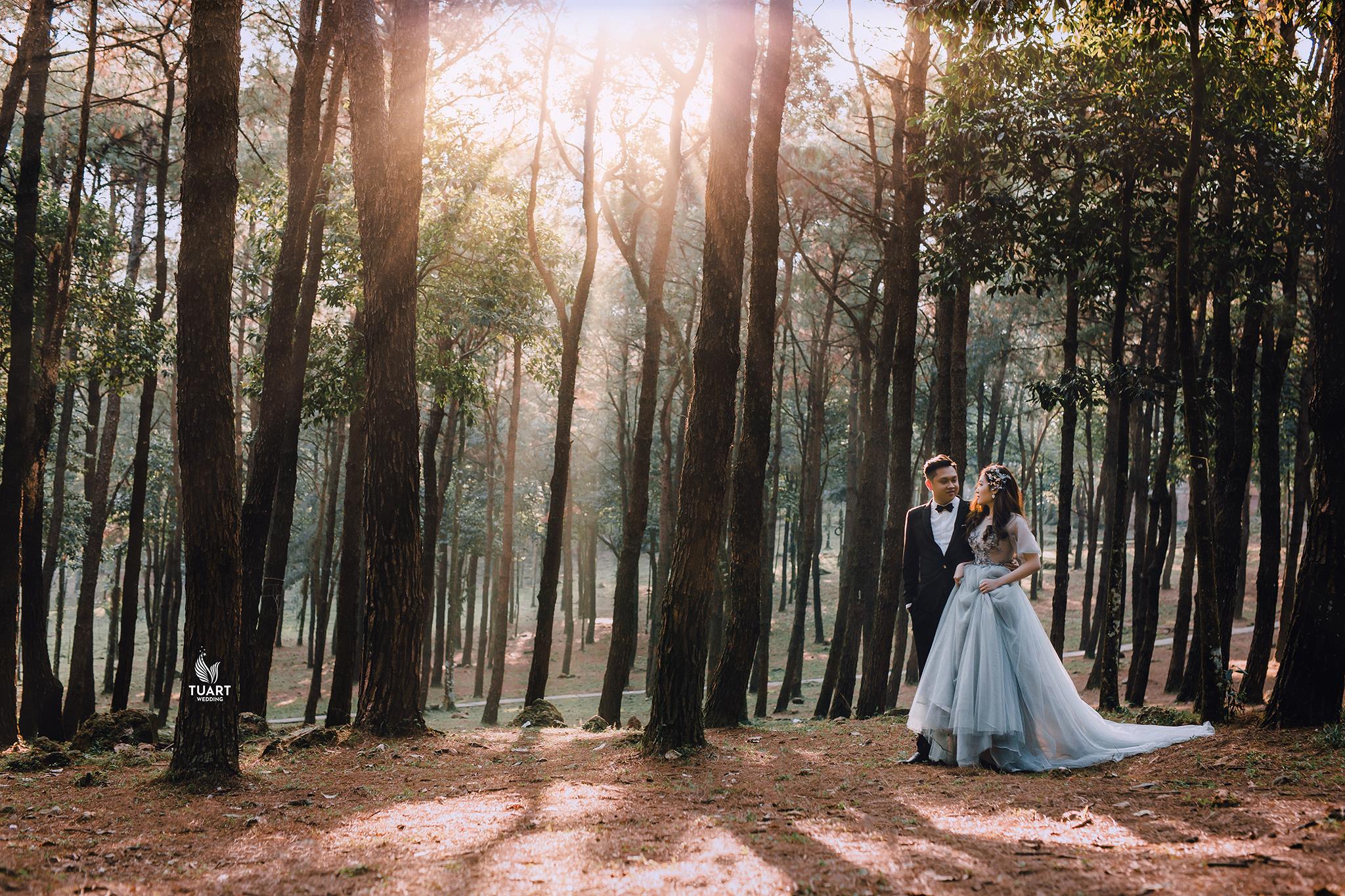 Album chụp ảnh cưới đẹp tại Vườn quốc gia Ba Vì 9