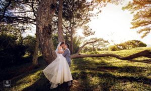 Album chụp hình cưới đẹp Đà Lạt 1