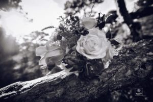 Album chụp hình cưới đẹp Đà Lạt 4