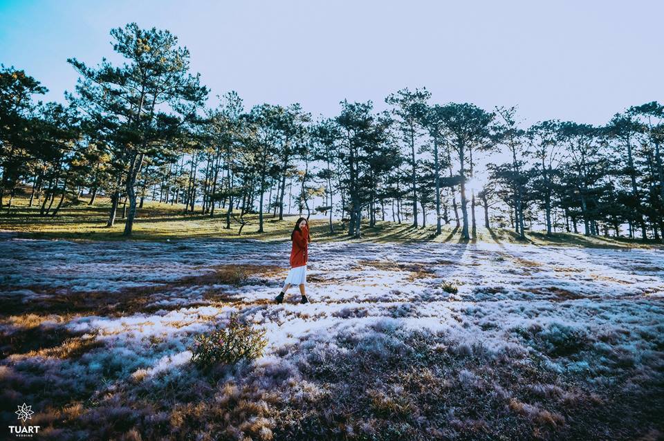 PRE WEDDING PHOTOGRAPHY IN DALAT 