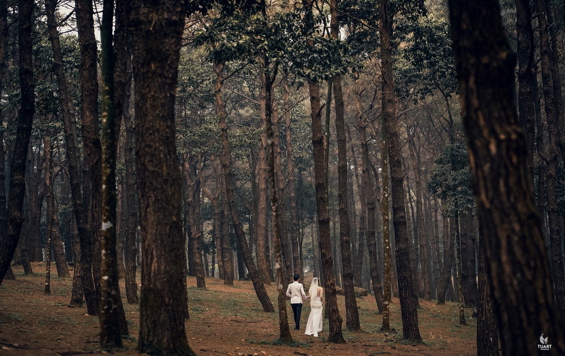 Album ảnh cưới tại Ba Vì - Hà Nội