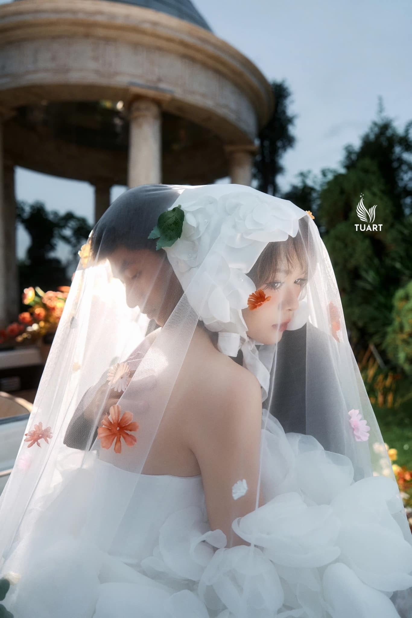 PHIM TRƯỜNG HÀ NỘI