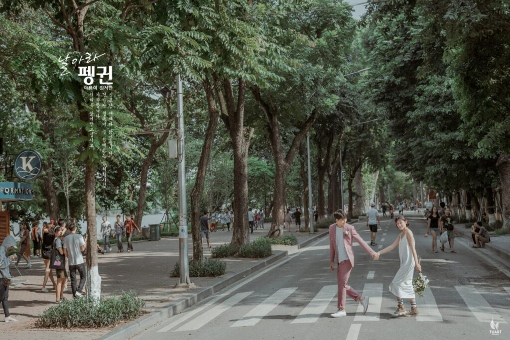 Top concept ảnh cưới Hàn Quốc 2026 - Đẹp nhẹ nhàng, cảm xúc